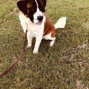 Meet your Posher, Bryson